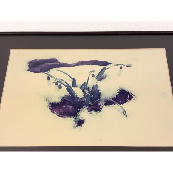 Vintage White Flower in Snow Print Matted and Framed Wall Decor Art - Picture 2 of 10